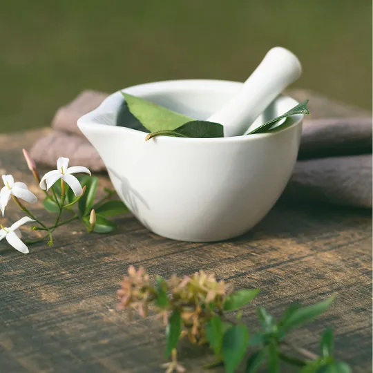 Ayurvedic Industry